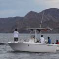 Andrew G. – Amazing experience! Highlight of our whole trip